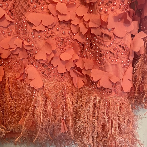 ASOS LUXE 3D floral embellished eyelet mini dress with faux feather trim - Picture 13 of 13